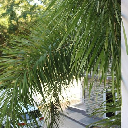 Apartamento Amueblado Amplio Tranquilo Privado Como Tu Lo Mereces 산티아고 데 로스 카바예로스 외부 사진